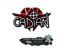 Sticker Slab | cadiaN (Glitter) | Antwerp 2022