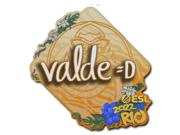 Sticker Slab | v4lde | Rio 2022