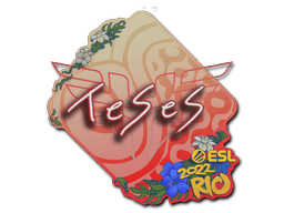 Sticker Slab | TeSeS | Rio 2022