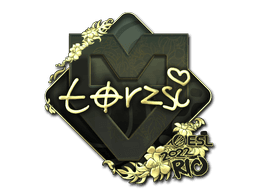 Sticker Slab | torzsi (Gold) | Rio 2022