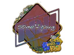 Sticker Slab | sdy (Glitter) | Rio 2022
