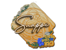Sticker Slab | Snappi | Rio 2022