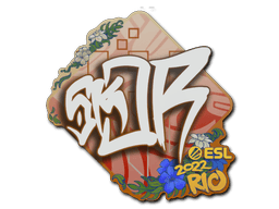 Sticker Slab | sk0R | Rio 2022