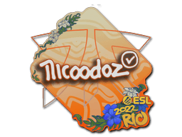 Sticker Slab | nicoodoz | Rio 2022