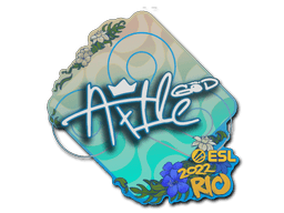 Sticker Slab | Ax1Le | Rio 2022