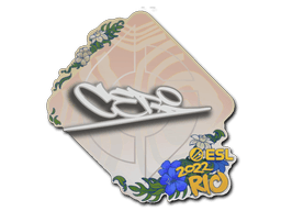 Sticker Slab | CeRq | Rio 2022