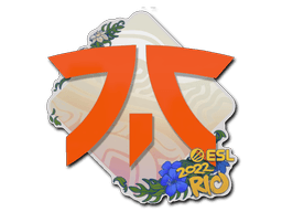 Sticker Slab | Fnatic | Rio 2022