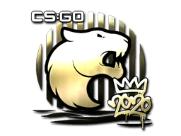Sticker Slab | FURIA (Gold) | 2020 RMR