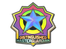 Sticker Slab | Distinguished Master Guardian (Holo)